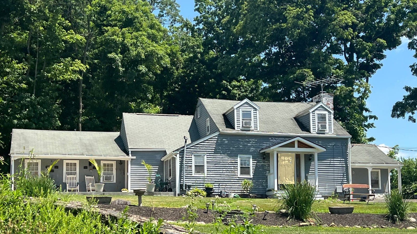 Cape Cod with lap siding and two dormers, repainted: front door Hearts of Palm SW 6415